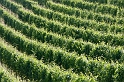 Piemont 2009  052